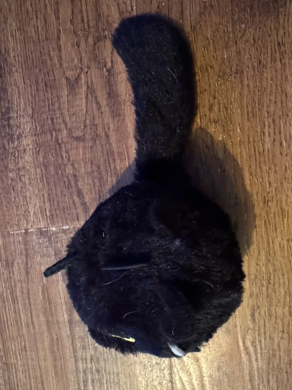 Bark Box L black cat rip & reveal dog toy